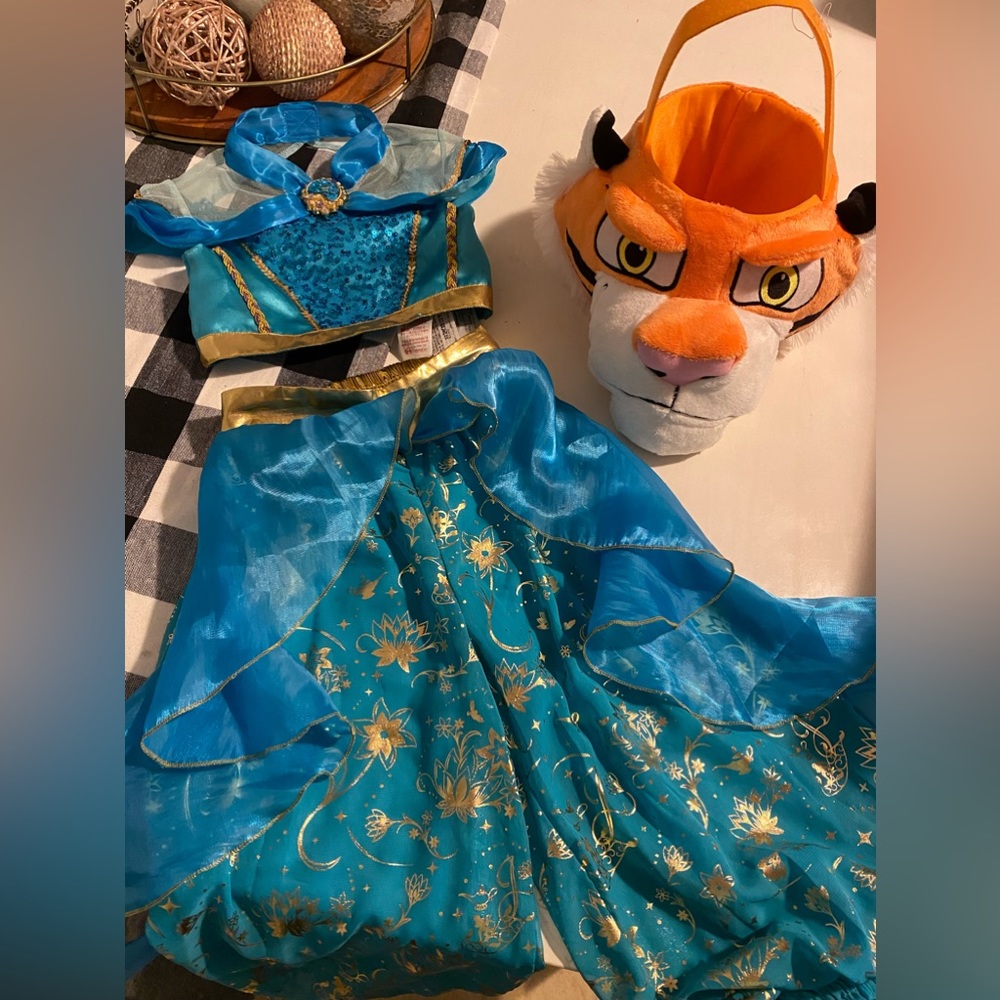 Jasmine Disney costume with Rajah trick or treat basket